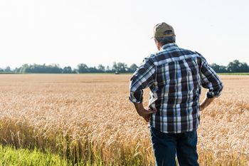 Musi oddać ponad 5 mln zł. Polski rolnik-rekordzista