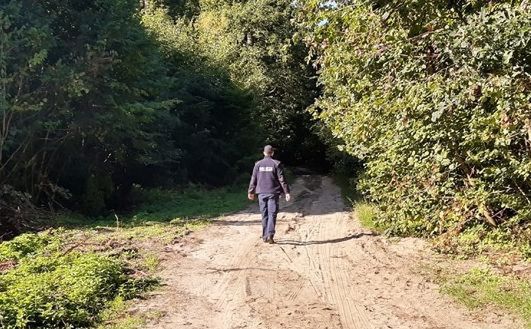 Lębork. Tragiczny finał grzybobrania. Nie żyje 70-latek