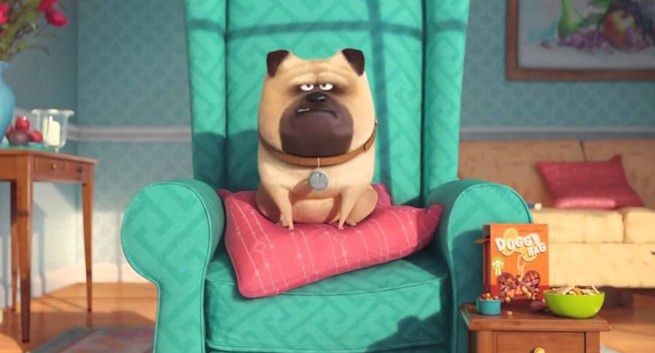 W 2018 roku sequel animacji &#34;Sekretne życie zwierzaków domowych&#34;