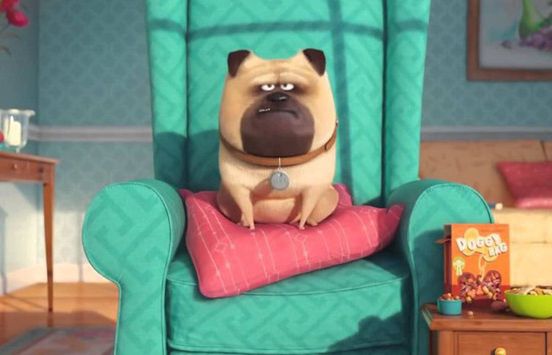 W 2018 roku sequel animacji &#34;Sekretne życie zwierzaków domowych&#34;