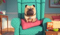 W 2018 roku sequel animacji &#34;Sekretne życie zwierzaków domowych&#34;