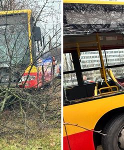 Kierowca autobusu wjechał w drzewa. Pojazd zawisł na betonowym bloku