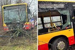 Kierowca autobusu wjechał w drzewa. Pojazd zawisł na betonowym bloku