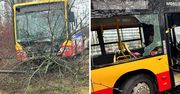 Kierowca autobusu wjechał w drzewa. Pojazd zawisł na betonowym bloku