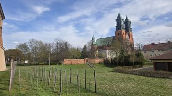 Ostrów Tumski jakiego nie znasz. Historyczny spacer śladami władzy i konfliktów