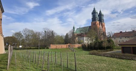 Ostrów Tumski jakiego nie znasz. Historyczny spacer śladami władzy i konfliktów