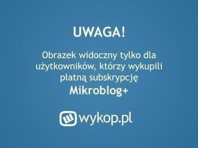 Mikroblog+ na Wykopie?