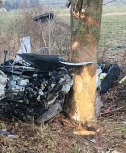 Nissan uderzył w drzewo. 19-latek zginął na miejscu. Miał prawo jazdy od dwóch miesięcy