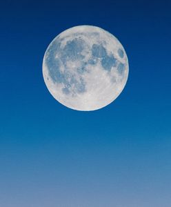 Zimny Księżyc, czyli ostatnia tegoroczna pełnia. Połączy się z niezwykłym zjawiskiem