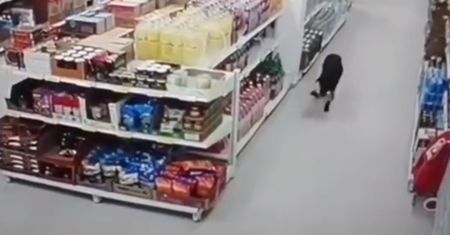 Kradzież z supermarketu. Nagranie z monitoringu zaskakuje