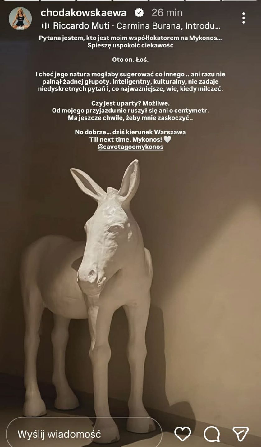 Łoś