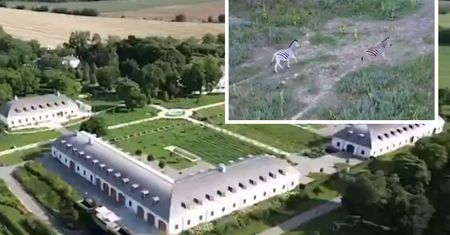 Posiadłość rodziny Orbana. Nagranie wzbudziły emocje