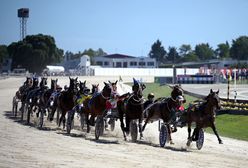 Na koniach zarobił tyle, że nie myśli o piłce. Biznes trenera Szwecji