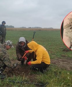 Przypadkowe odkrycie rolnika. Skarb z XVII wieku na Mazurach
