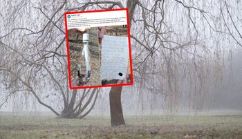 Dostrzegli list w butelce. Zaskakująca treść. Autorem Sebastian