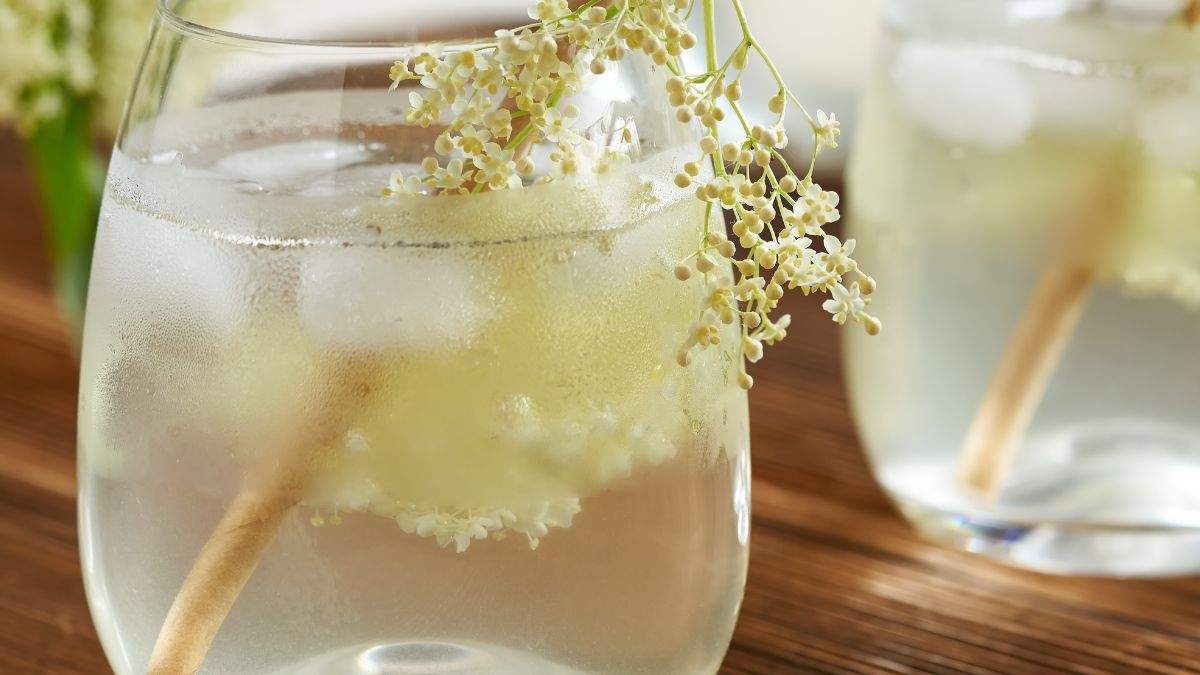 Lemoniada z kwiatów z czarnego bzu