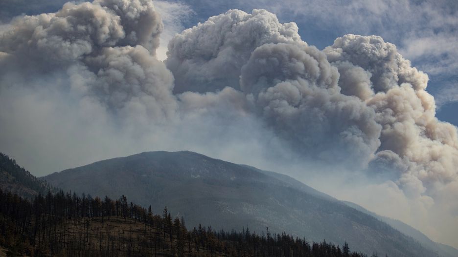 Pierwsza taka diagnoza na świecie. Pacjentka cierpi na zmiany klimatu
