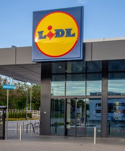 Wyższe zarobki i nowe miejsca pracy. Lidl Polska stawia na dalszy rozwój