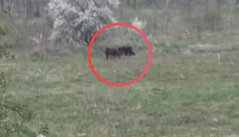 Kolejny sygnał. Włos jeży się na głowie. "Apel o rozwagę"