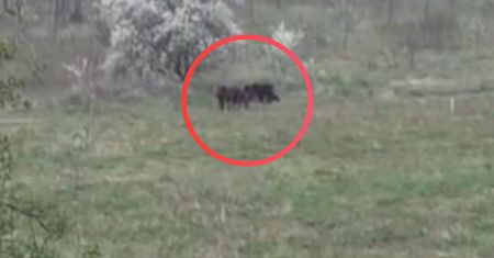 Kolejny sygnał. Włos jeży się na głowie. "Apel o rozwagę"