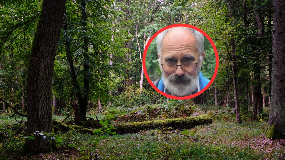 Wiesław Kamiński mówi, kiedy możliwy jest wysyp grzybów.