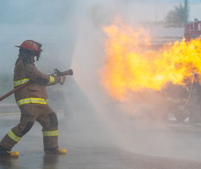 Dramat w Czechach. Tysiące zwierząt zginęły w płomieniach