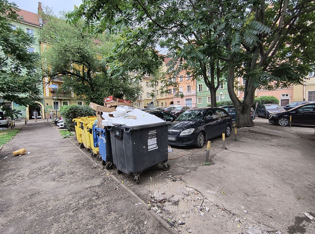 Wrocław: Życie w cieniu szczurów i śmieci. Mieszkańcy podwórka między Psimi Budami a pl. Solnym mają dość