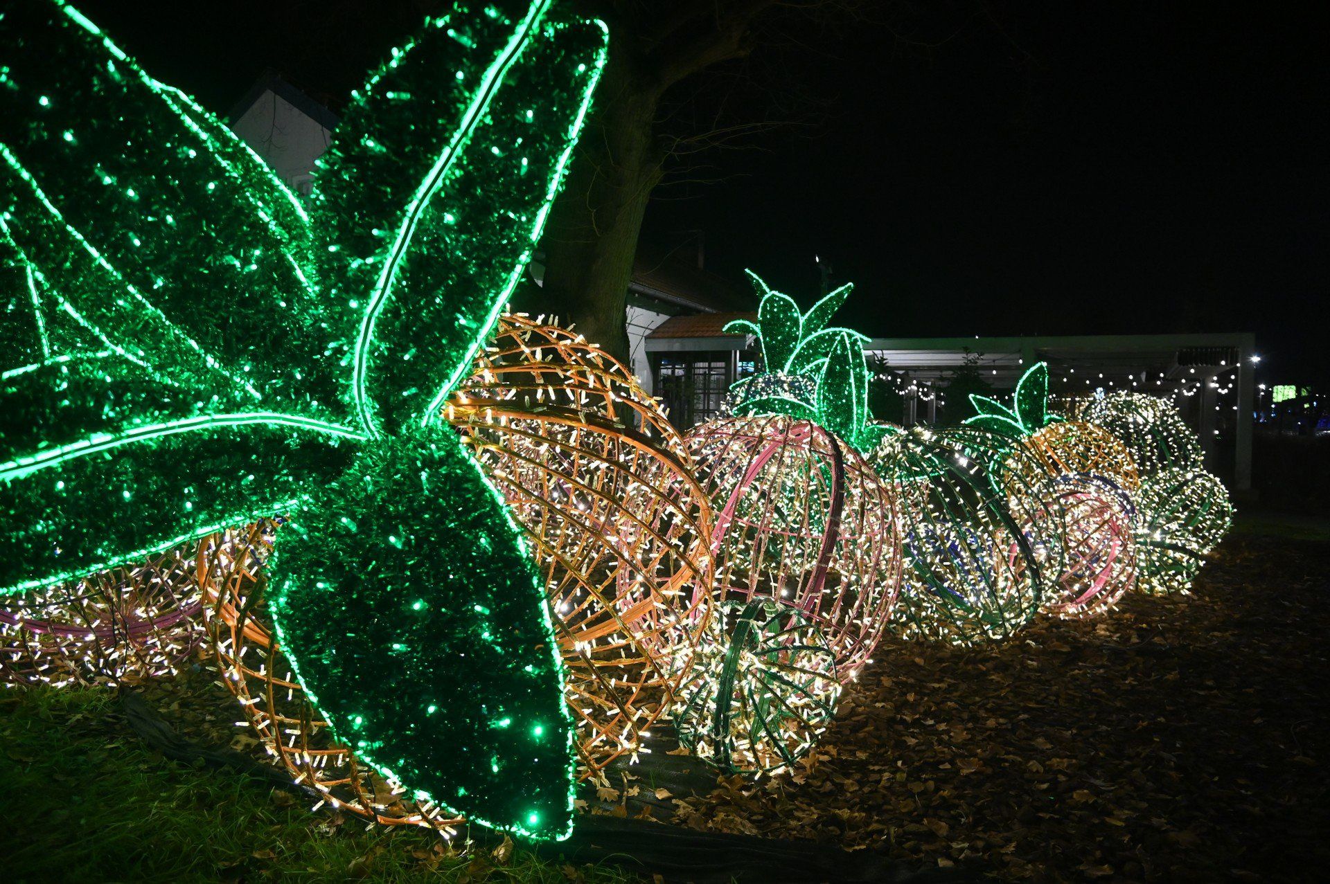 Wola Park z własną świąteczną iluminacją.