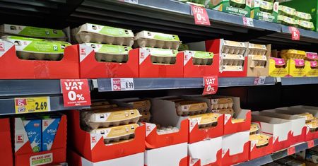 Ceny jajek przed świętami poszybowały w dół. W tym supermarkecie kupisz je najtaniej