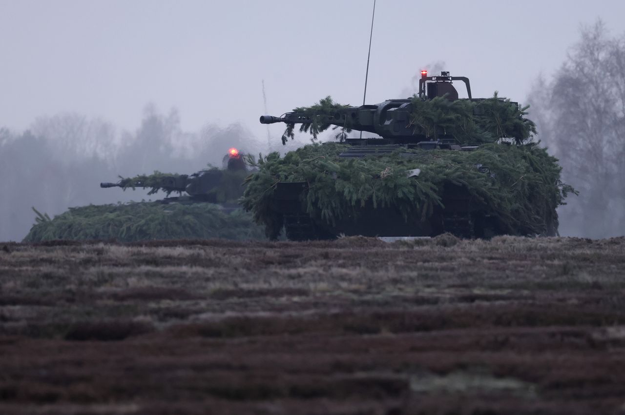 Pumas during training exercises.