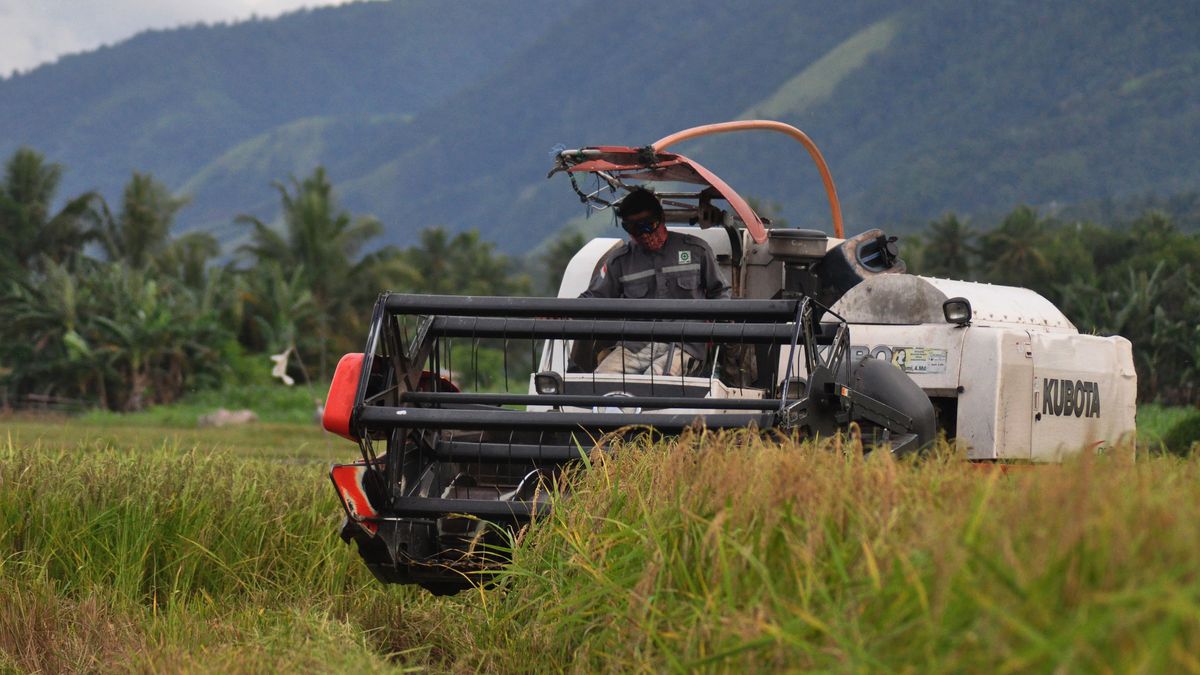 Jeżeli nic się nie zmieni, to rolnikom zabraknie osób chętnych do pracy przy zbiorach.