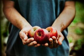 Jabłka pełne witamin i dobrych bakterii. Jedz je w całości, razem z nasionami