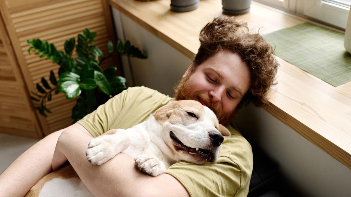 Naukowcy zbadali wirusa powodującego otyłość. Można się zarazić od psa i kota