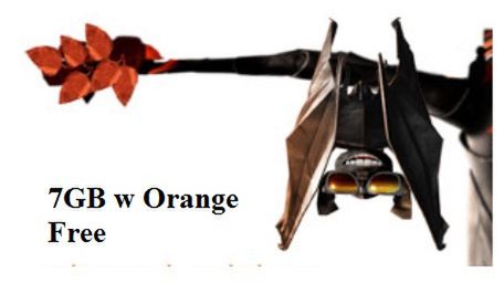 Do 7GB na transmisję danych w Orange Free! 1
