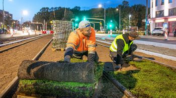 Warszawa: Kolejne torowiska tramwajowe będą zielone