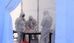 Niemcy. Polacy w Brandenburgii i Saksonii bez darmowych testów na COVID-19