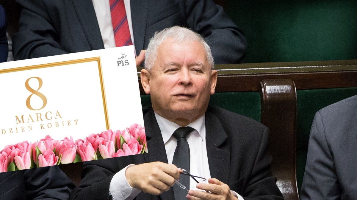pis dzień kobiet