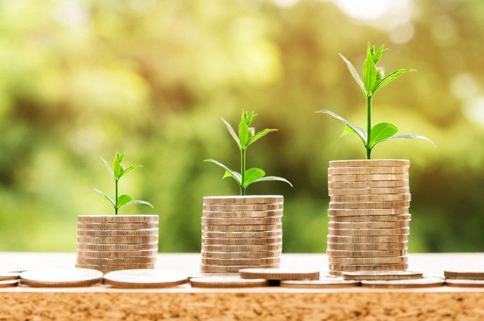 Finansowa odporność gospodarstwa rolnego. Praktyczne strategie na lata
