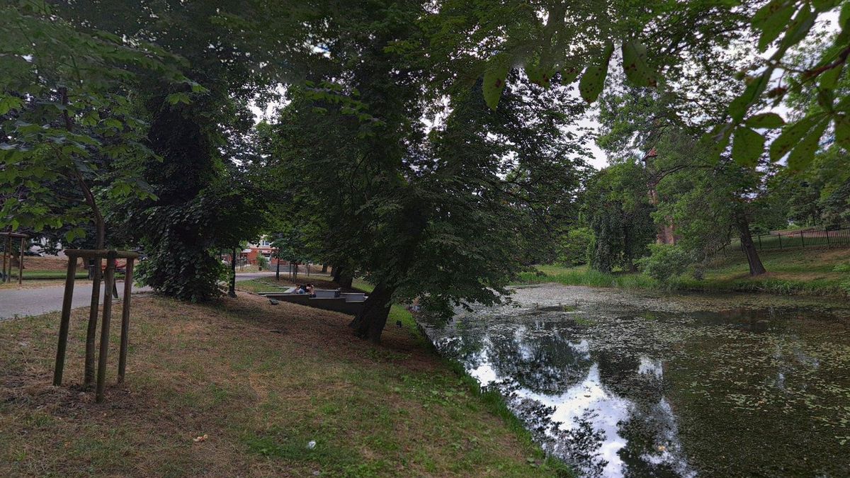 W parku w Szamotułach doszło do brutalnego gwałtu 