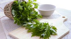 Piołun i jego prozdrowotne właściwości