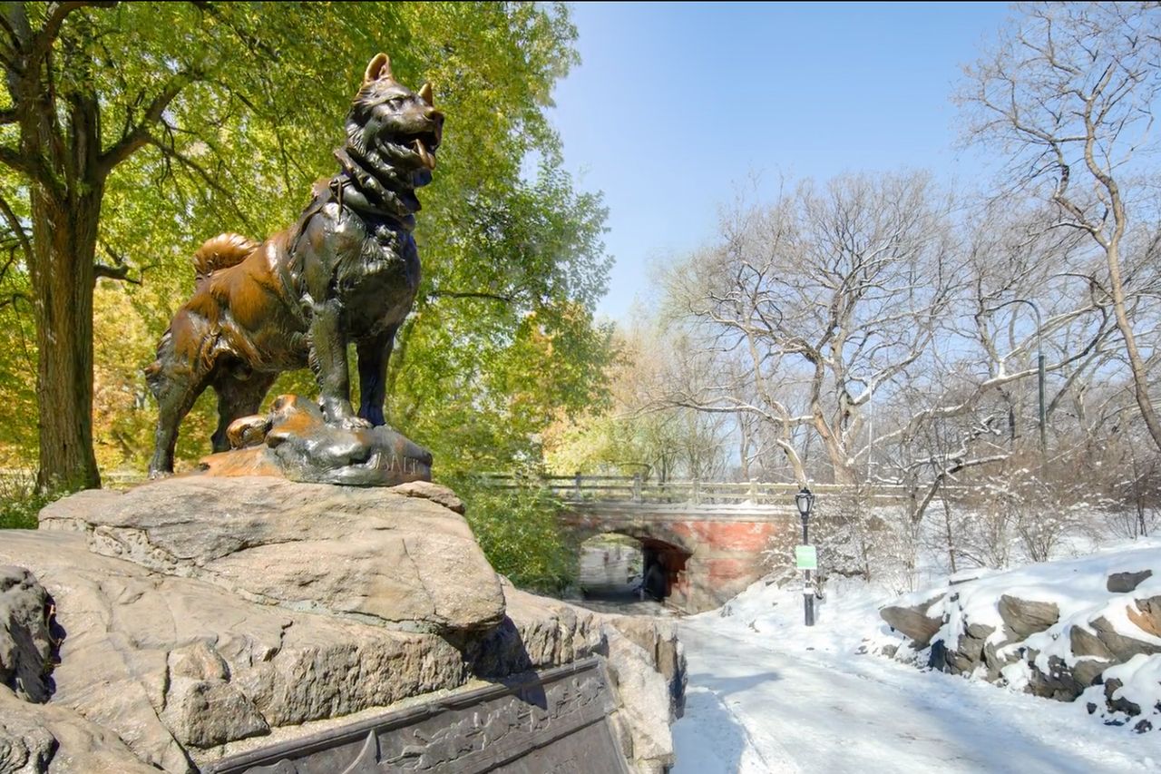 Central Park ciągle się zmienia. Widać to na wyjątkowym timelapsie