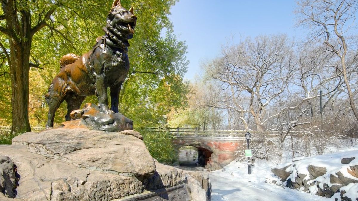 Central Park ciągle się zmienia. Widać to na wyjątkowym timelapsie 1