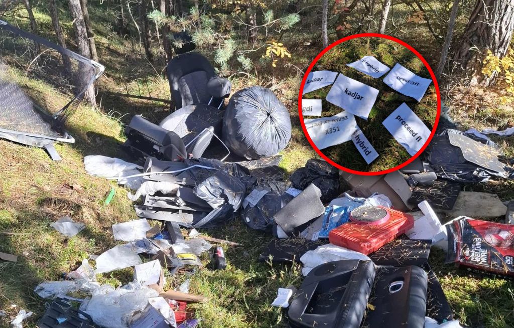 Skandal w lesie pod Toruniem. Poruszający wpis leśników