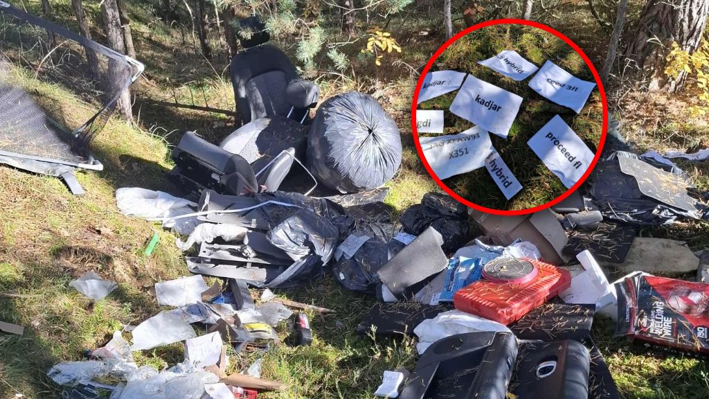 Skandaliczny widok w lesie pod Toruniem