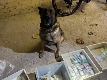 Łódź: Policjanci przejęli ponad kilogram narkotyków i pieniądze