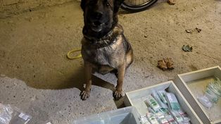 Łódź: Policjanci przejęli ponad kilogram narkotyków i pieniądze