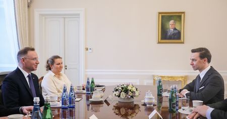 "Reset konstytucyjny". Duda otwarty na propozycje