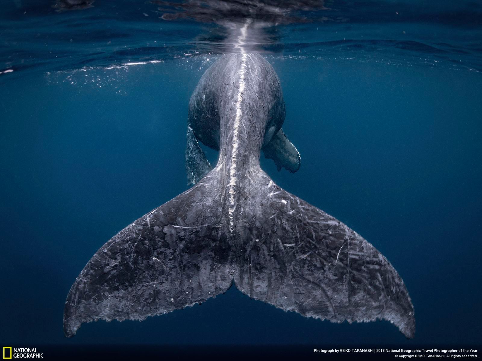 Zobacz zwycięskie prace National Geographic Travel Photographer of the Year 2018 1