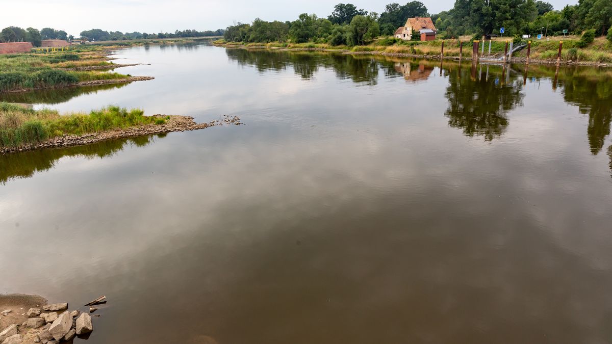 A view at Oder river  in Kostrzyn on Oder in Poland on August 13, 2022. The Oder river, which partly runs on the Polish - German border, is believed to have been contaminated with toxic, chemical or biological pollutants. The scale of pollution is very large, tons of dead fish were pulled out of the water by volunteers. The contamination is believed to have started in Olawa in southern Poland. People are urged not to enter or use the rivers waters. The Polish Prime Minister, Mateusz Morawiecki pleages a thorough investigation and severe consequences for the polluters. (Photo by Dominika Zarzycka/NurPhoto via Getty Images)