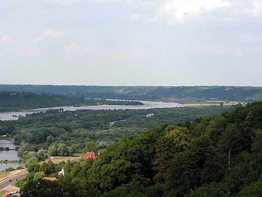 Obraz